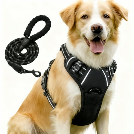 Comfortable Adjustable No Pull Dog Harness Black with 5ft Leash for Pets