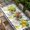 Multicolor, variant on Yellow Lemon Table Cloths for 8 Foot Rectangle Tables, Summer Botanical Black White Checkered Wooden Patio Waterproof Elastic Fitted Tablecloths, Washable Rectangular Table Cover for Camping