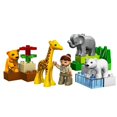 thumbnail image 2 of LEGO Duplo Ville Baby Zoo V70 (4962), 2 of 2
