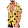 thumbnail image 2 of Birdeem Chemise Décontractée à Manches Courtes Style Hawaïen pour Hommes, 2 of 12