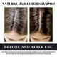 thumbnail image 4 of EELHOE Polygonum Multiflorum Extract Hair Growth Shampoo 100ml Natural He Shou Wu Shampoo for Gray &, 4 of 5