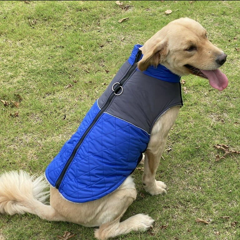 Winter Dog Coat Waterproof Dog Jacket w Zipper Puppy Small Medium Large Sizes Walmart