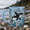 Black, variant on Orca Mug, 2D Flat Ceramic Mug Ocean Design, Marine Animal Gift for Whale Lovers