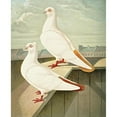 thumbnail image 3 of Gustav Prütz 12x14 Black Modern Framed Museum Art Print Titled - Color-Scouted Pool (1884-1886), 3 of 5