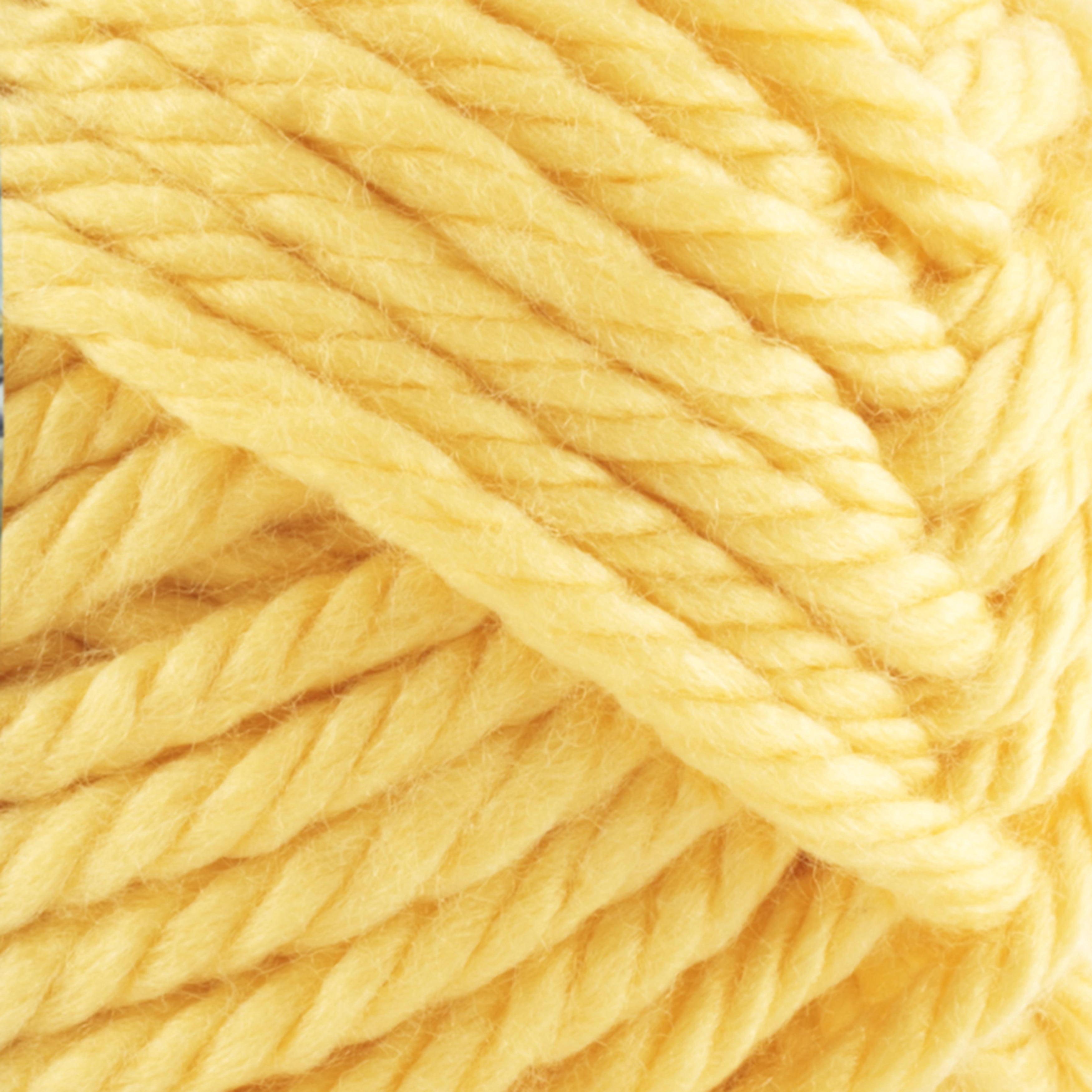 (2 pack) Lion Brand Yarn Hometown Madison Mustard 135-159 Super Bulky Acrylic Yarn