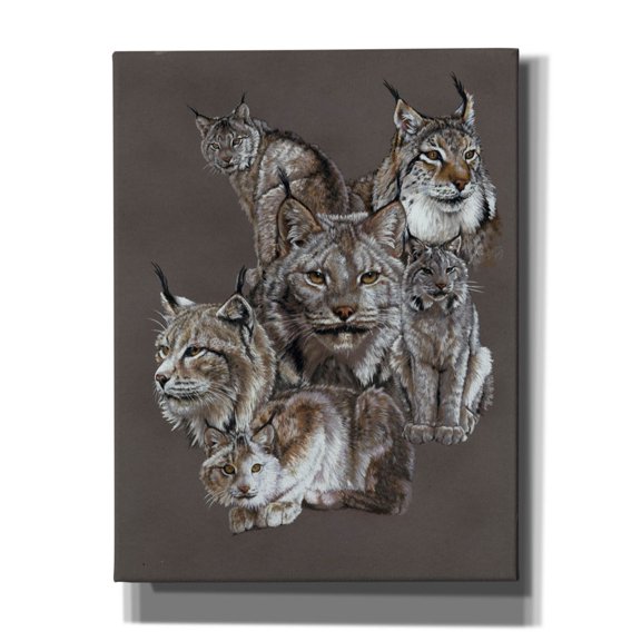 Epic Graffiti 'Rogue' by Barbara Keith, Canvas Wall Art, 26"x34"