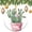 pattern-2295, variant on Christmas Ornaments Watercolor Botanical Leaf Funny Christmas Ornaments Succulent Plants Ornament Hanging Ornaments for Christmas Tree Decoration Xmas Day Home Party Decorations