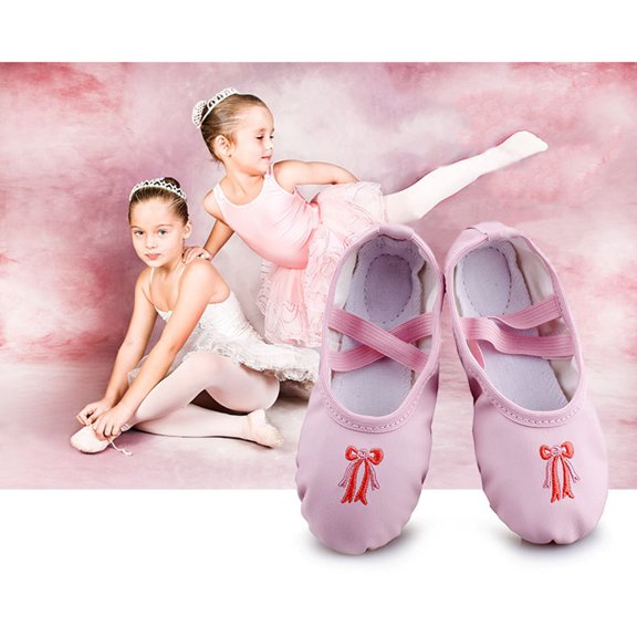 ETEREAUTY 1Pair Pink Ballet Slippers for Jazz and Folk Dance with Elastic Band Design