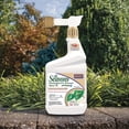 thumbnail image 2 of All Seasons Horticultural & Dormant Spray Oil, 32 oz Ready-to-Spray, Disease Prevention and Insect Killer for Organic Gardening, 2 of 4