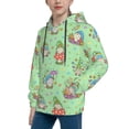 thumbnail image 2 of Fotbe Spring Gnome Pattern Youth Pullover Hooded Sweatshirt, Boys Hoodie, Kangaroo Pocket Hoodie for Kids Girls -X-Large, 2 of 6
