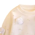 thumbnail image 4 of asjyhkr Toddler Girls Vacation Sets Flower Long Sleeve Sweatshirts Pants Cute Party Casual Fall Outfits 2 Piece(1-2 Years), 4 of 5