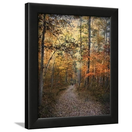 Journey Framed - Journey Within Framed Print Wall Art By Jai Johnson