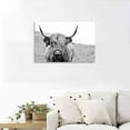thumbnail image 3 of HFDF Vintage Poster Modern Canvas Wall Art HD Highland Cow Pattern Bedroom Wall Decor Farmhouse Style Small with Wooden 14x11inch Framed, 3 of 7