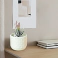 thumbnail image 5 of Hiroekza Succulent Planter Pots Plastic Imitation Glazed Vase for Flower Arrangement, Home & Office Decoration, 3.82x3.35x2.99inch White, 5 of 6