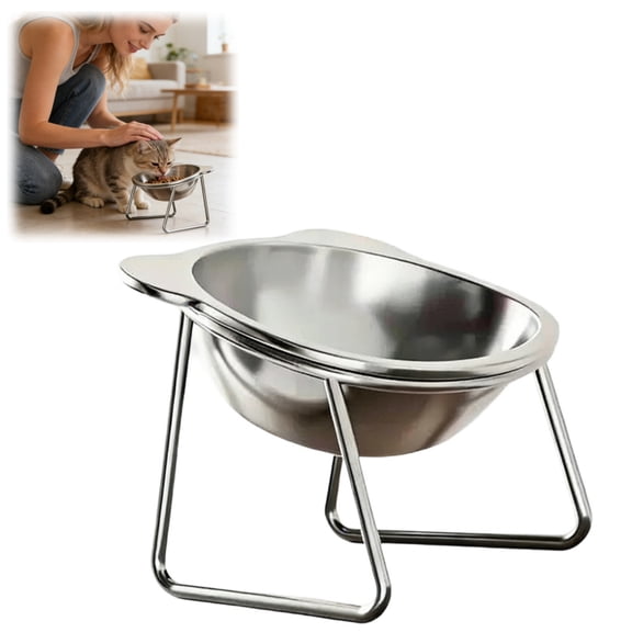 Stainless Steel Elevated Cat Bowl,Raised cat bowl for small cats & puppies, Pet Feeder with Stand
