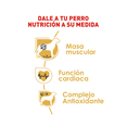 thumbnail image 2 of Alimento para perro Royal Canin Boxer 13.6Kg Boxer, 2 of 3