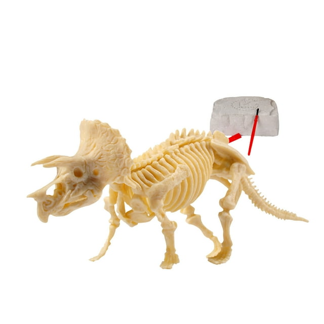As shown Dino Dig Adventure Set - Excavate 5 Realistic Fossil Skeletons With Paleontology Tools, Stem Educational Archaeology Activity For Kids Sandbox Learning And Discovery (0.56 Lbs)