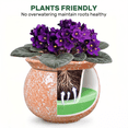thumbnail image 2 of EFISPSS Hand-Patted Glaze Self Watering Ceramic Planter with Inner Clay Pot, 6 Inch Terracotta Orange African Violet Pots, Indoor Herb & Plant Pot, Home Decor, 2 of 8