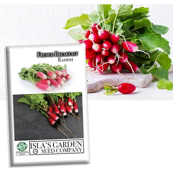 French Breakfast Radish Seeds for Planting, 200  Heirloom Seeds Per Packet, (Isla's Garden Seeds), Non GMO Seeds, Botanical Name: Raphanus sativus, Great Home Garden Gift
