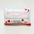 thumbnail image 1 of Wabasso Canada Day Pillow, 1 of 1