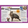 thumbnail image 4 of Cat Science Unleashed : Fun activities to do with your feline friend (Paperback), 4 of 5