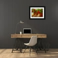 thumbnail image 3 of Finch, Sheila 32x25 Black Ornate Wood Framed with Double Matting Museum Art Print Titled - Crimson Glow, 3 of 4