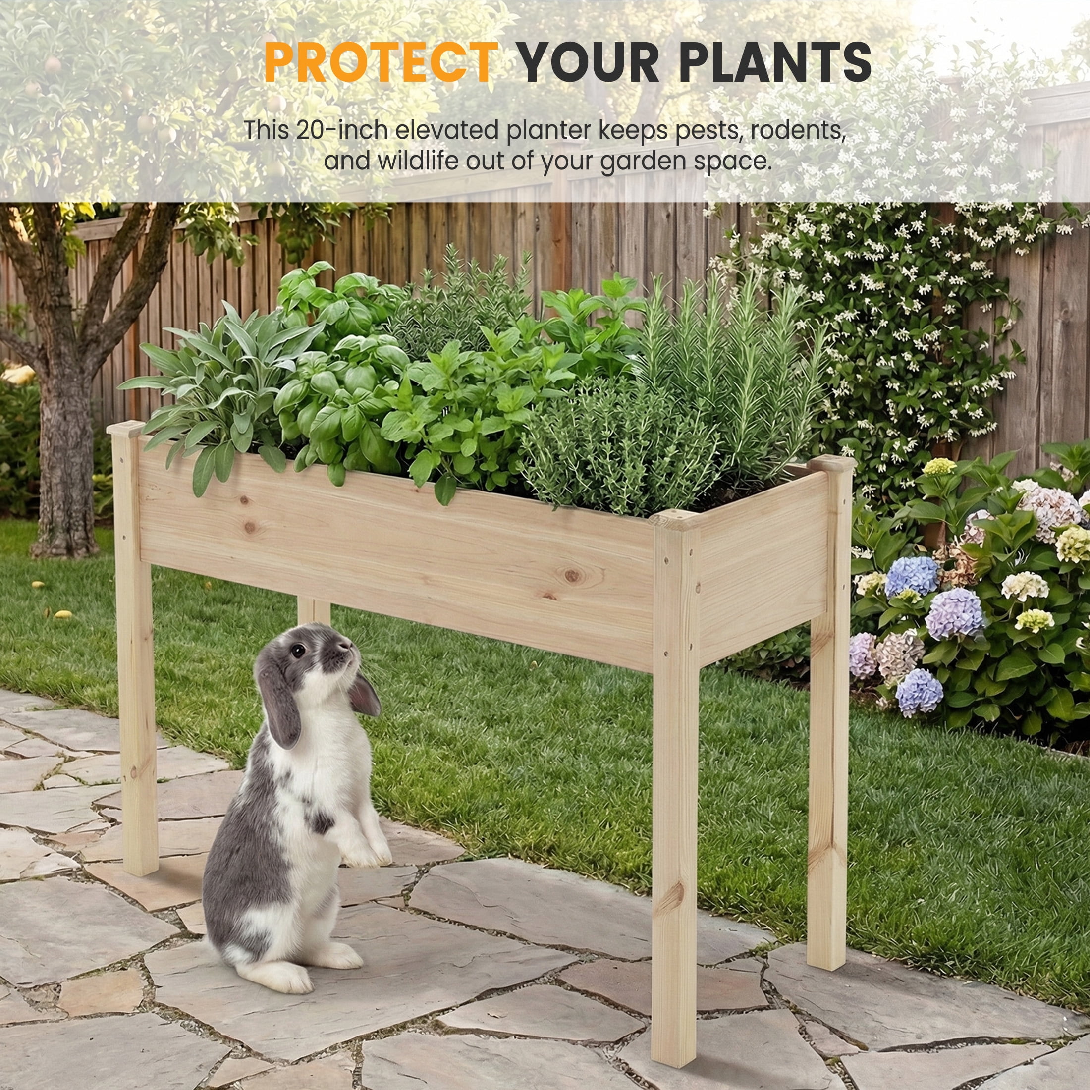 EDX Wooden Raised Garden Bed, Outdoor Planter Box Kit for Vegetables, Flowers and Herbs,Natural Wood Color