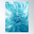 thumbnail image 2 of Close Up Of A Blue Chrysanthemum Poster Wall Art, Modern Wall Decor For Living Room Bedroom, 8x12 UNFRAMED, 2 of 3