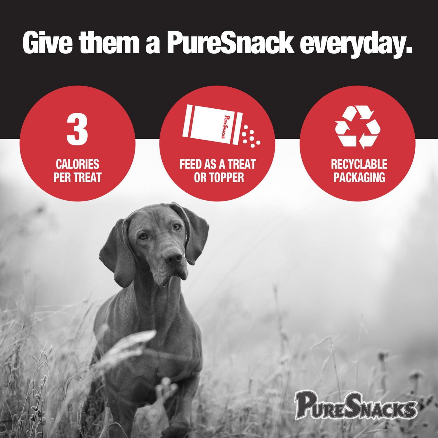 PureSnacks Freeze Dried Chicken Breast Dog Treats, Single Ingredient Dog Treats