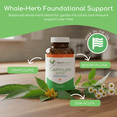 thumbnail image 3 of Return Healthy Cryptolepis Synergy Immune Supplement for Women and Men, Daily Liver and Lymphatic System Booster, Bidens Pilosa, 120 Vegan Capsules, 3 of 10