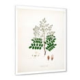 thumbnail image 2 of Designart 'Ancient Botanicals XII' Farmhouse Framed Art Print, 2 of 4