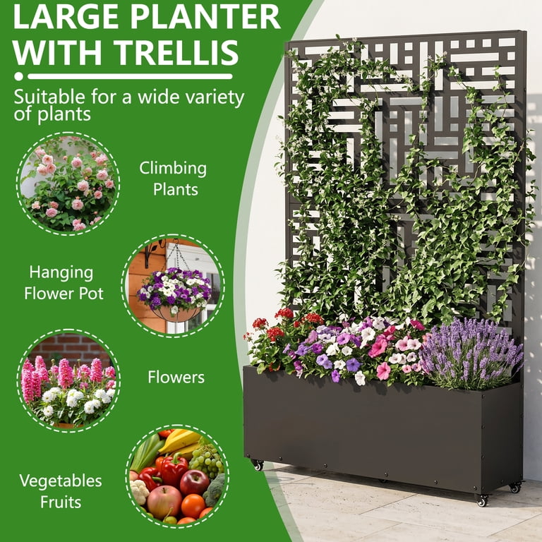 plastic aquarium plants Fully Submerged Aquarium Plants, Freshwater Live Aquarium Plants –  PearlingPlants main image 0