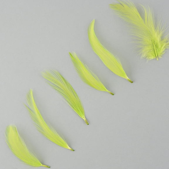 ZUCKER Rooster Dyed Blood Quill (neck) Hackle Feathers 1-3 inches -1LB - Lime
