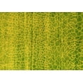 thumbnail image 1 of Ahgly Company Indoor Rectangle Abstract Yellow Modern Area Rugs, 8' x 10', 1 of 4