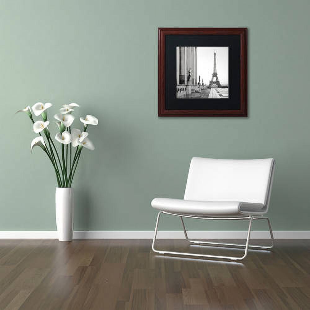 Trademark Fine Art "Tour Eiffel 5" Canvas Art by Alan Blaustein, Black Matte, Wood Frame
