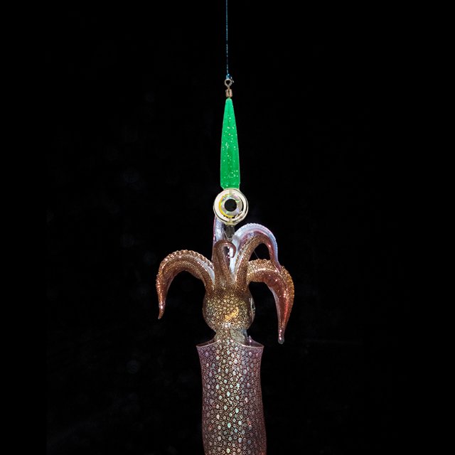 Tmvgtek Led Fish Bait Lure Light Calamar Pesca Pulpo Mar Lámpara Subacuática (Verde)