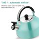 thumbnail image 3 of 3L Durable Stainless Steel Whistling Camping Bottle Lightweight Kettle for Camping Trips Hiking Cooking Barbecue Festival, 3 of 4