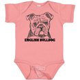 thumbnail image 3 of Inktastic English Bulldog Sketch Portrait with Dog Breed Name Boys or Girls Baby Bodysuit, 3 of 5