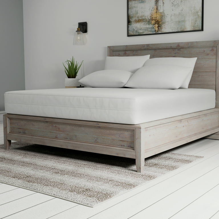Bed Bugs In Bed