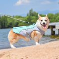 thumbnail image 3 of 【Salvavidas de verano】El diseño de tela de tres capas puede ayudar de manera continua y efectiva a que su perro se mantenga fresco y evite jadeos o golpes de calor., 3 of 5
