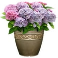thumbnail image 2 of Classic Home 10" x 6" x 8.5" Round Bronze Resin Corinthian Plant Pot with Drainage Holes, 2 of 4
