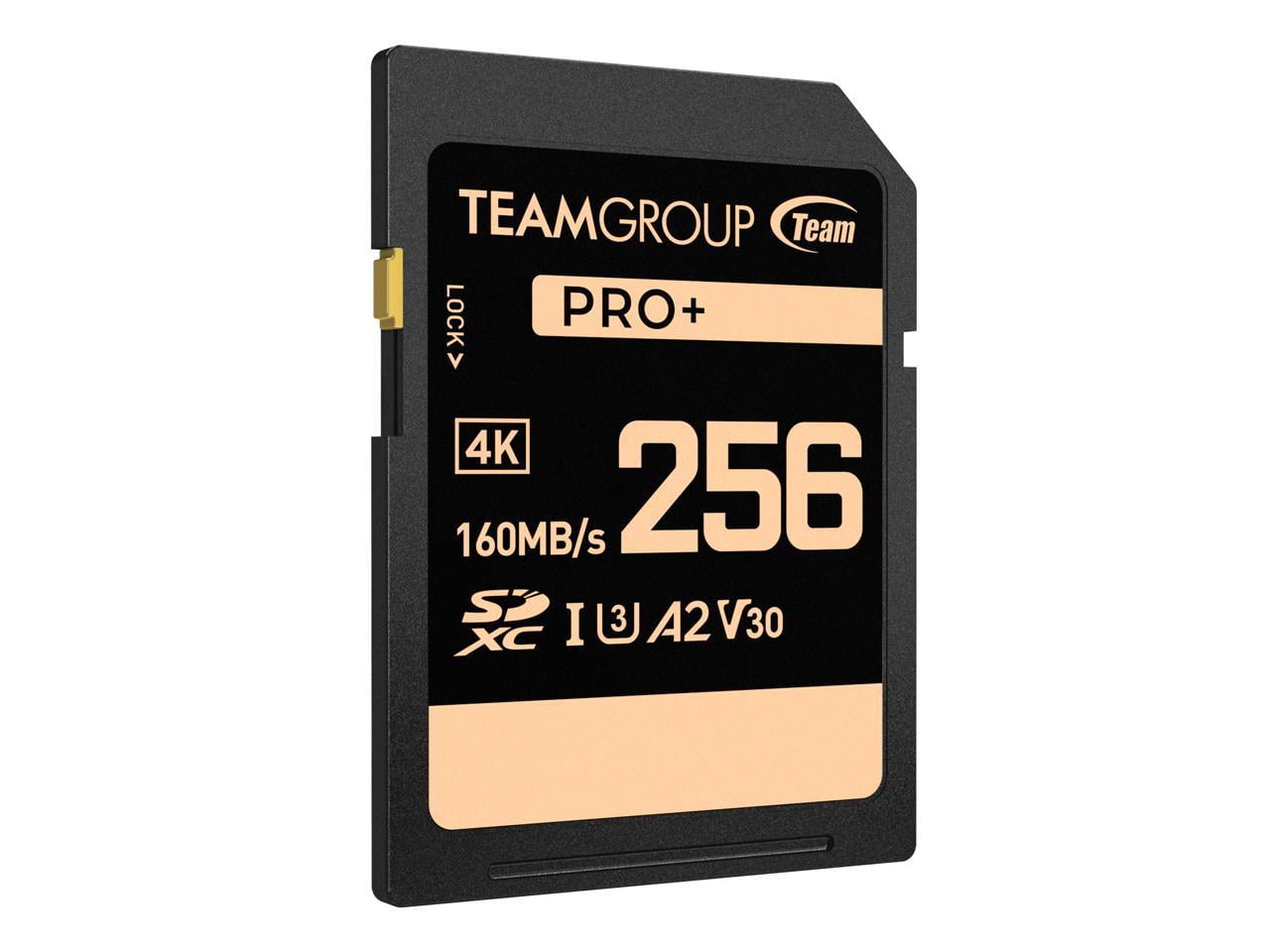 Team Group 256GB PRO+ SDXC U3 V30 A2 4K SD Card, Read/Write Speed Up to 160/90MB/s (TPPSDX256GIA2V3001)