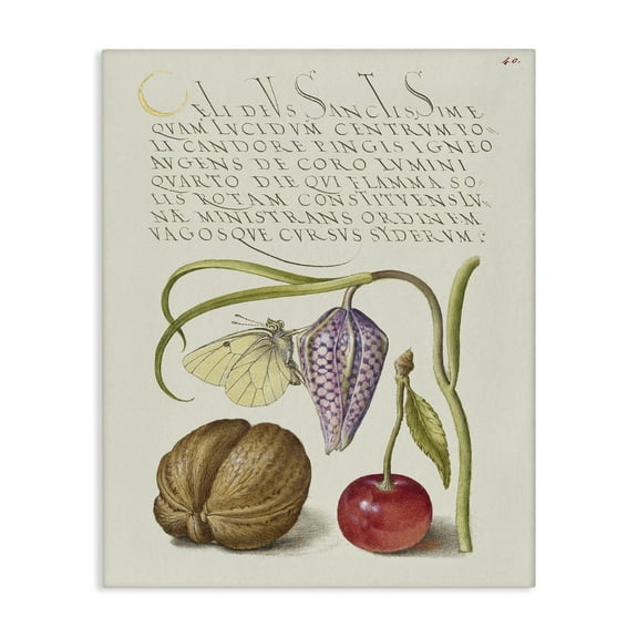 Stupell Industries Woodland Flora Study Text & Numbers Painting Wrapped Canvas Art Print Wall Art, 16 x 20