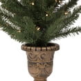 thumbnail image 6 of Northlight 2ct Prelit Artificial Christmas Tree Potted Porch Pine Topiary - Clear Lights, 6 of 6