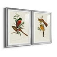 thumbnail image 2 of Wexford Home Elegant Trogons I Premium Framed Print, 30.5" x 42.5" - Ready to Hang, Silver (Set of 2), 2 of 9