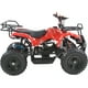 thumbnail image 2 of Cuatrimoto Atv Niños Montable LITTLE MONKEY 49cc Motor Gasolina Parrillas, 2 of 4