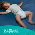 thumbnail image 2 of Pampers Baby Dry Diapers Size 3 168 Count, 2 of 10