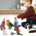thumbnail image 4 of A Simulation Parrot Figurine For Home Decorate Preschool Educational Bird Model Toy, 4 of 8