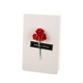 thumbnail image 4 of IFANLANDOR 1Pcs Rectangular Greeting Card White Dried Flowers for Mother's Day Party Decorations, 4 of 8