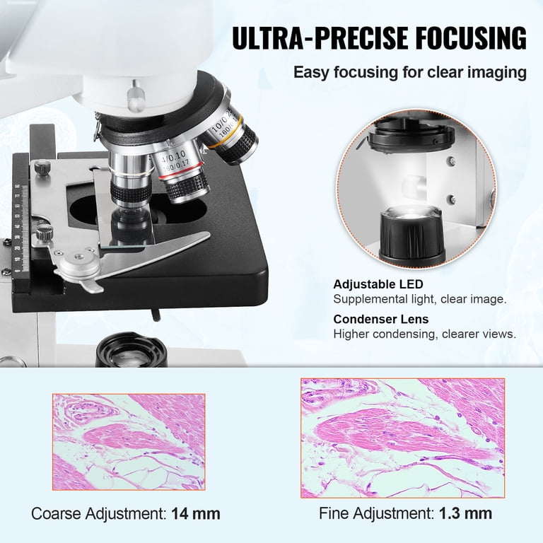 Spring 30x Microscope Biological Microscope Mechanical Stage Spring Parts 10pcs Microscope ...